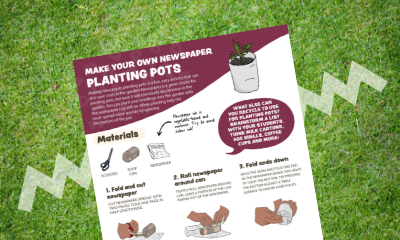 Making Newspaper Pots