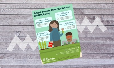 Healthy Eating Infographic Poster