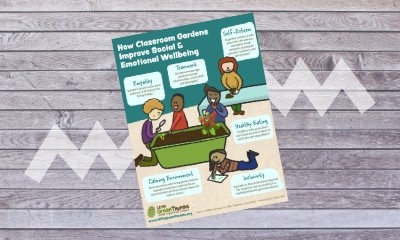 Social & Emotional Well-being Infographic