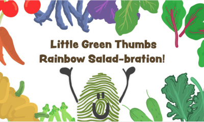 Little Green Thumbs Rainbow Salad-bration digital storybook